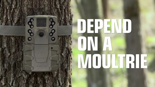 Moultrie A-25 Trail/Game Camera Bundle - image 1 from the video